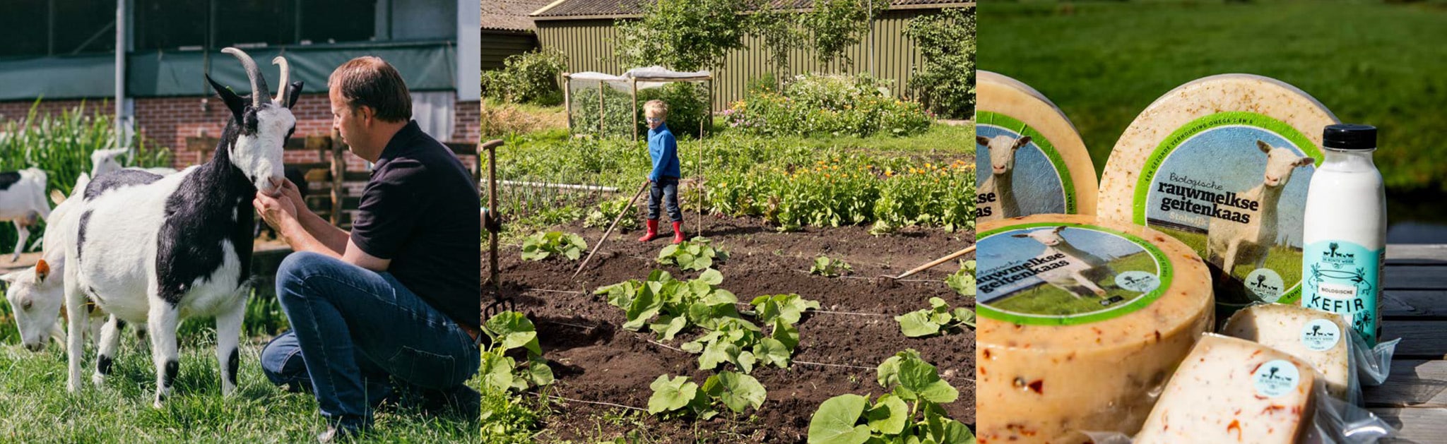 Kaas Geit Tuin